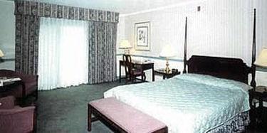 Motel New World